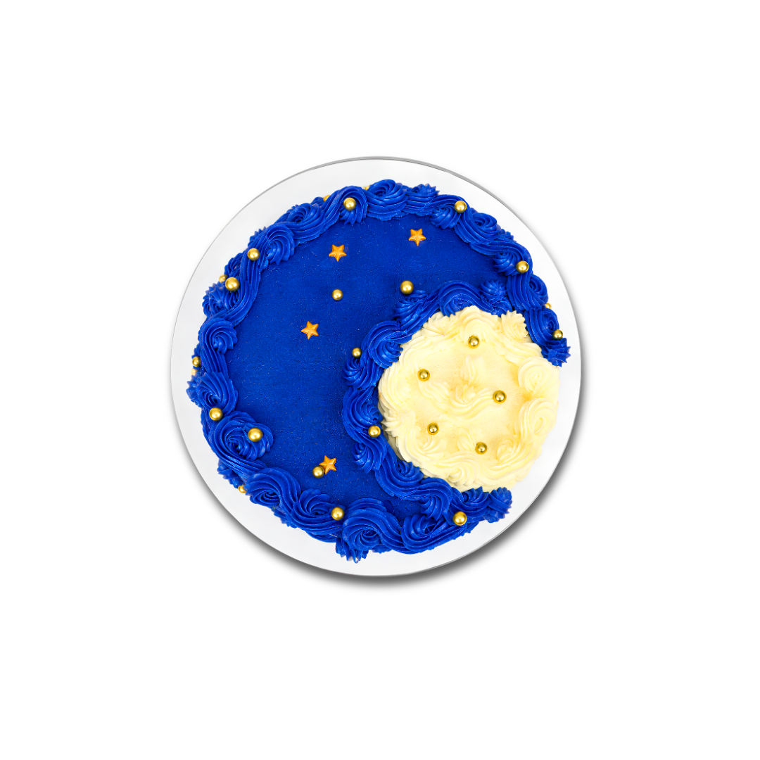 STARRY NIGHT CAKE